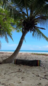 Caribbean blue sea views from behind a coconut palm tree and white sand beach with reggae coloured log in the foreground