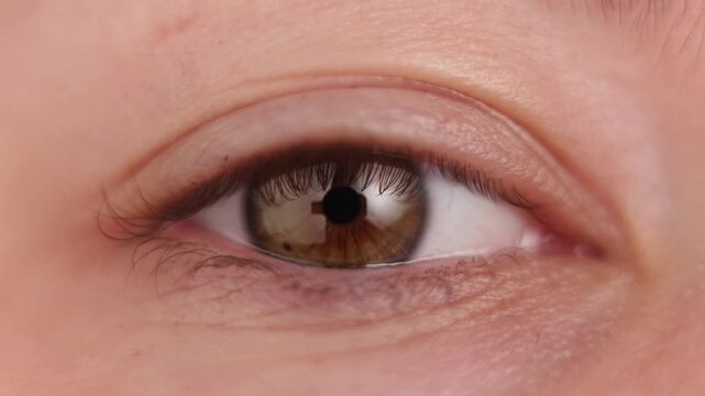 Extreme close-up of a human eye with brown iris and detailed skin texture