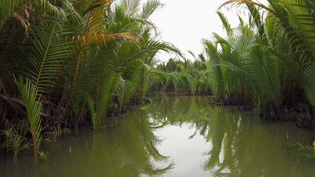 Coconut palm canal near Hoi An Vietnam tropical landscape