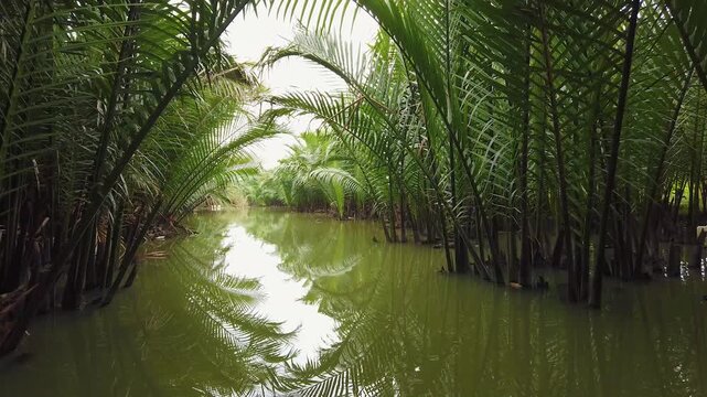 Coconut palm tunnel canal near Hoi An Vietnam tropical scenery