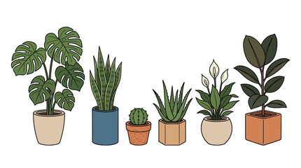 Fototapeta premium Collection of potted houseplants and succulents.