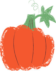 Fototapeta premium Pumpkin With Leaf Crayon Sketch