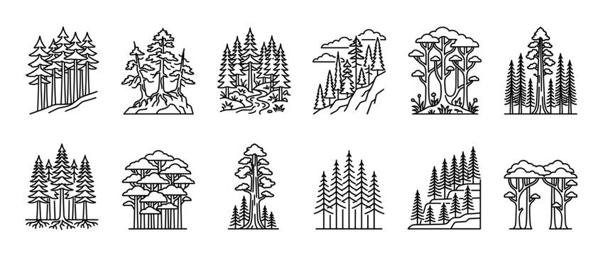 Black and white line art icon collection of various forest scenes and trees, including pine, sequoia, and fir, designed in a simple, clean, and modern vector illustration style