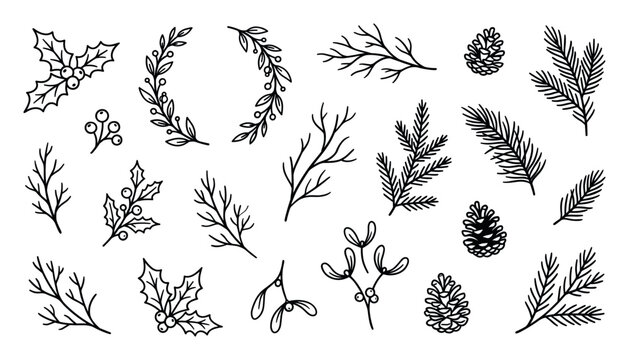 Hand drawn winter botanical elements collection with holly, pine cones, fir branches, and mistletoe in a simple black line art doodle style for festive holiday design