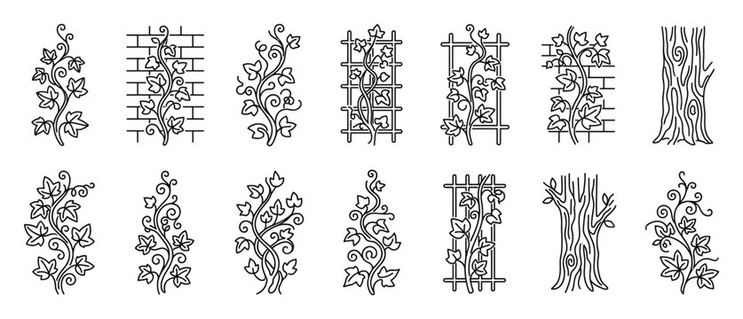 Collection of black line art icons featuring climbing ivy vines on trellises, brick walls, and tree trunks, presented in a clean and minimalist vector illustration style