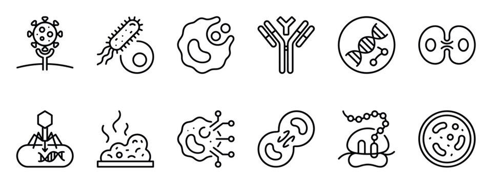 Set of biology and microbiology line icons depicting scientific concepts like a virus, bacterium, antibody, DNA, cell division, bacteriophage, and ribosome in a clean outline style