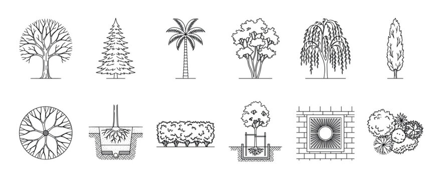 Set of architectural tree and plant symbols for landscape design, showing various species, planting details, and top-down plan views in a black line art illustration style
