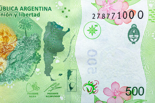 Argentina 500 Pesos 2020.Obverse-Jaguar (panthera onca), flower.Reverse-Jaguar cub, Yungas jungle, map of Argentina, coat of arms of Argentina.World money collection.Bonistics.Fragment for design.