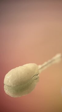 Footage video lotion on packaging close up detail texture