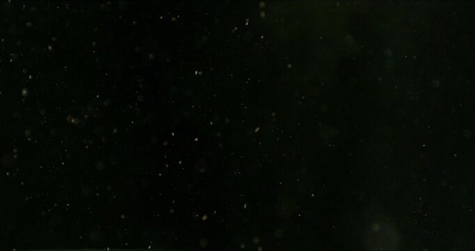 Super slow motion falling snow or dust particles isolated on a black background. Abstract atmospheric SFX overlay with floating debris, cinematic texture and dark visual effect.