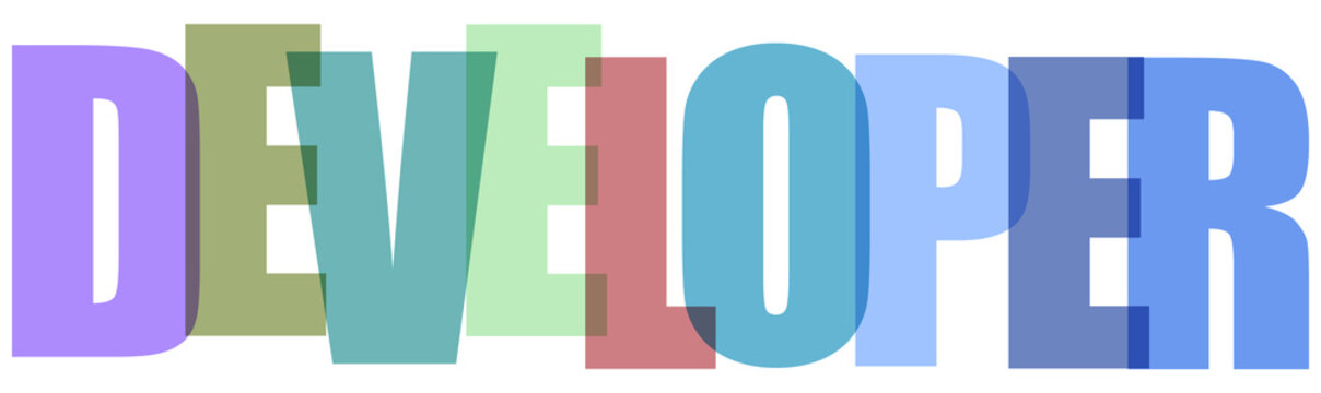 Multicolored developer text, colorful coding concept, programming word, software development phrase