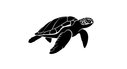 Fototapeta premium Baby sea turtle swimming in water
