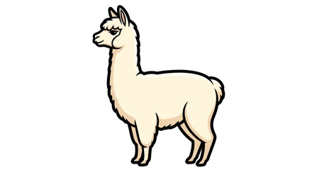 Fototapeta premium Illustration of a white llama standing profile view.