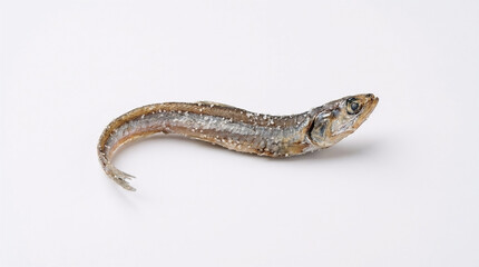 Obraz premium Single Dried Anchovy (Niboshi) Isolated on White Background - Healthy Japanese Seafood Snack and Ingredient