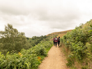 Obraz premium A group of women walk down a hiking path