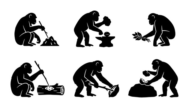 Primate Evolution Icons, Ape Tool Use Silhouettes, Early Human Ancestor Development Graphics