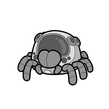 spider robot