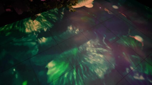 The floor screen in the nightclub displays beautifully moving koi fish animations, creating a unique and increasingly fun atmosphere.