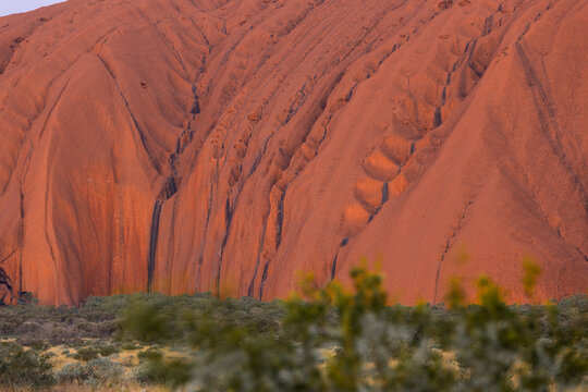 Close-up view of Uluru rock at sunset time.