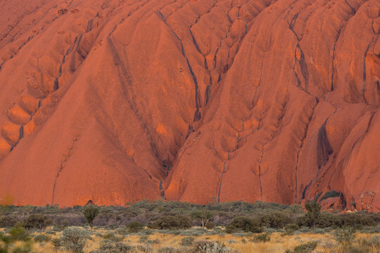Close-up view of Uluru rock at sunset time.