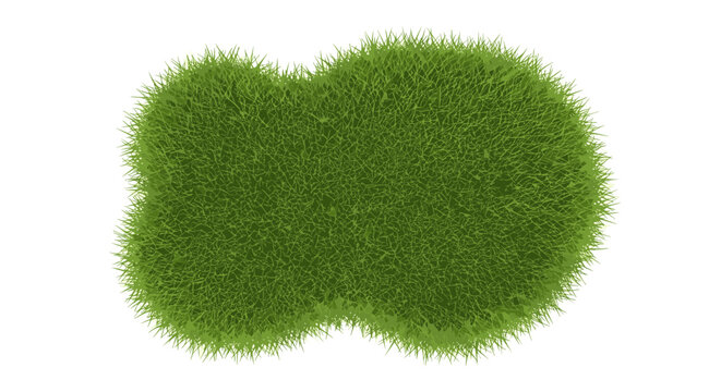 Lawn grass tuft for landscaping projects and exterior scene decoration isolated on clean white background.