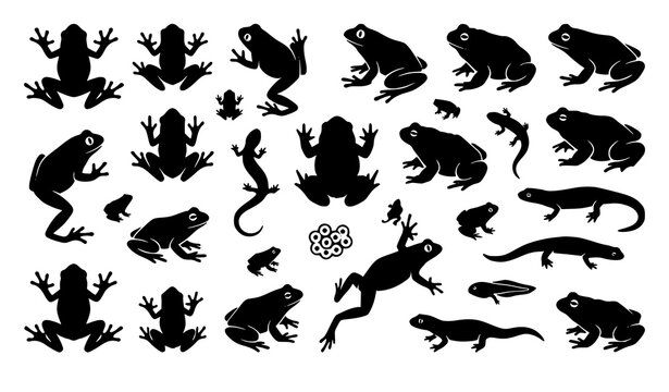 Trendy amphibian vector bundle with frog silhouette and wildlife top view icon set