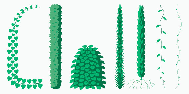 Green cactus plant with leaves isolated on white background desert nature illustration design natural eco summer flora thorn icon symbol greenery greenery conceptSet of cardboard boxes and 3D cube pac