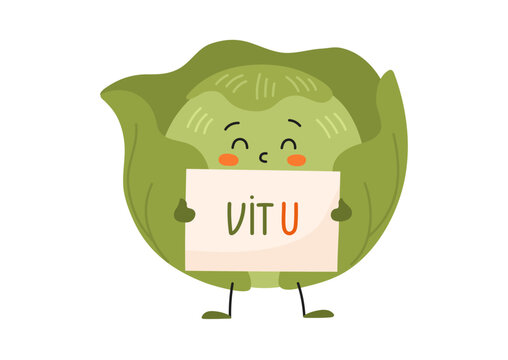 Cute cabbage holding Vitamin U note. Healthy vegetable character with vit U paper for nutrition, cooking and agriculture design.