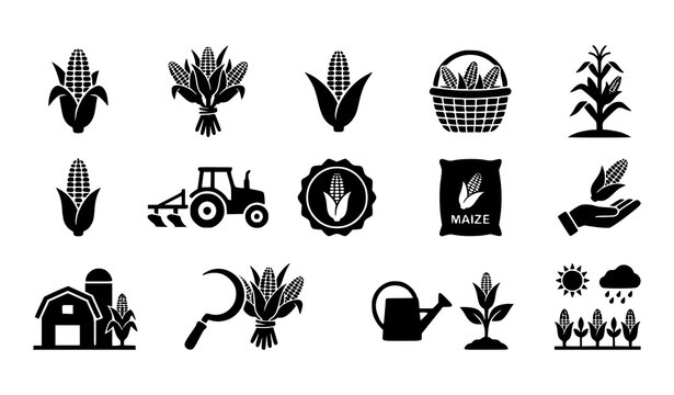 Simple maize and corn silhouette icons vector collection isolated on white