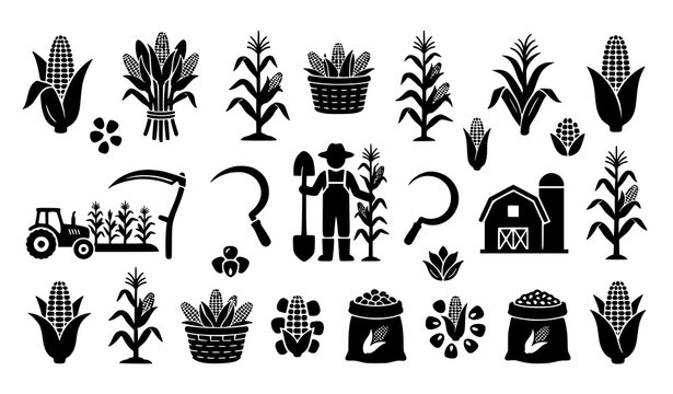 Corn and maize silhouette icon set with agricultural symbols isolated on white background