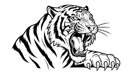 Fototapeta premium Roaring tiger illustration in black and white isolated on white background