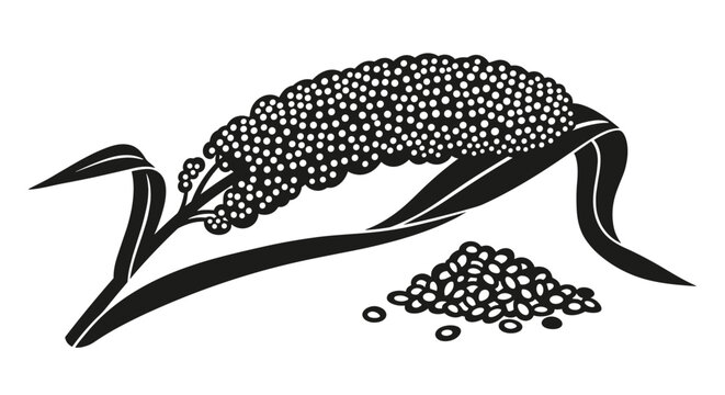 Stylized black and white graphic illustration depicts a millet plant with a large seed head and a pile of grains on the side.