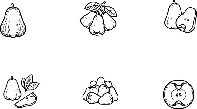Set Ilustrasi Jambu Air Hitam Putih dengan Buah Segar dan Irisan dalam Gaya Outline Vektor