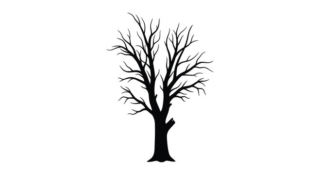 Bare tree with branching limbs black silhouette on a white background silhouette