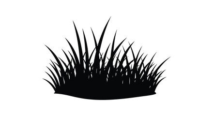 Black grass silhouette on a white background simple botanical illustration silhouette © shamim