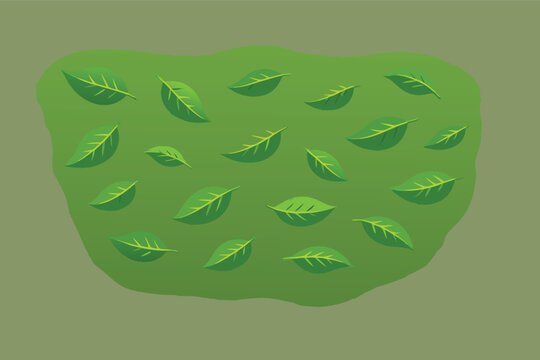 Floating Green Leaves Isolated on White Background, Natural Leaf Vector Illustration for Organic Tea, Mint, or Basil Branding, Fresh Foliage Design Element for Eco-Friendly and Herbal Concepts.