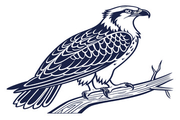 Fototapeta premium Birds Vector Design