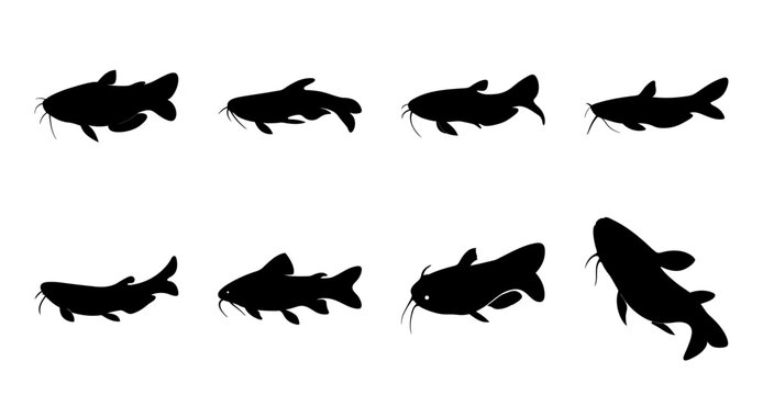 Black fish icons in swimming poses - Eight stylish black fish icons in varied swimming positions, perfect for web design, presentations, or educational materials.