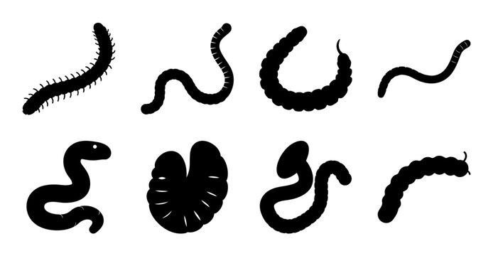 Black stylized squiggle and worm vector icons - Clean black squiggle, worm, and abstract shape vector icons in a minimalist style for web and graphic design projects.