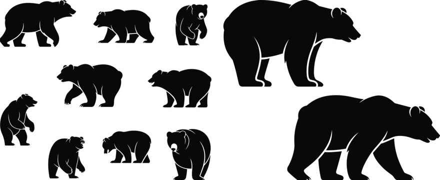Silhouette bears in various poses, wildlife animal illustration, walking and standing stances, nature vector design, forest creature art, zoology graphics
