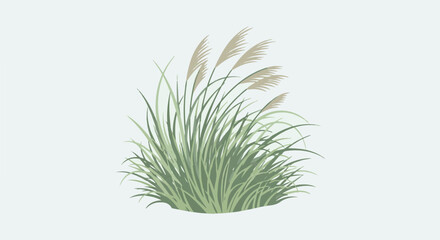 Fototapeta premium Green and tan wispy grass plumes sway against a soft grey background, creating a natural, airy feel