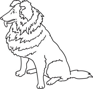 Collie line art simple illustration long fur shepherd dog doodle breed contour drawing minimalist black outline dog show poster clipart grooming salon veterinary clinic mascot logo pet branding design