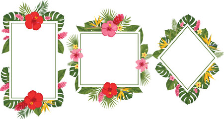 Tropical floral frame vector collection with hibiscus flowers palm leaves and blank border templates for invitations © Prodip