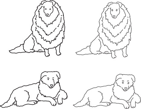 Collie line art simple illustration long fur shepherd dog doodle breed contour drawing minimalist black outline dog show poster clipart grooming salon veterinary clinic mascot logo pet branding design