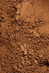 Fototapeta premium Vertical cooking background spilled natural cocoa powder.