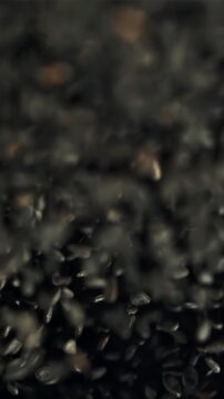 Sesame seeds fly up and fall down. Filmed is slow motion 1000 fps. High quality FullHD footage