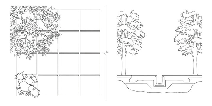 Architectural landscape plan and section vector, technical drawing of urban paving grid with trees, site construction detail for garden design
