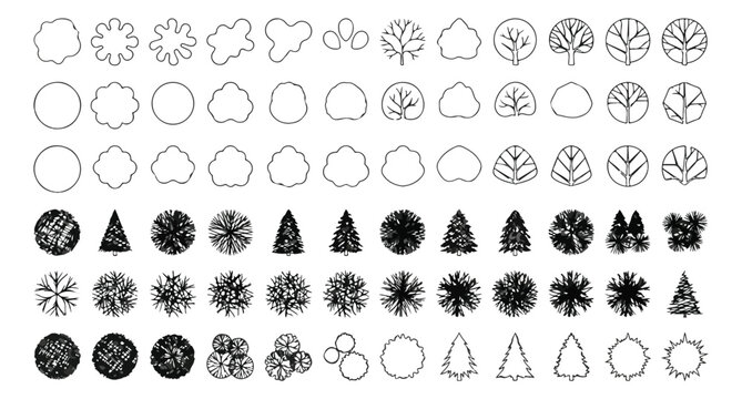 Minimalist tree top view icons set, architectural landscape plan symbols, black and white overhead vegetation vector collection for site mapping