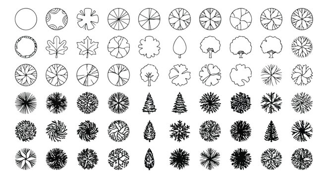 Architectural tree symbols for landscape design, 60 top view plant icons for site planning, black and white garden master plan vector elements