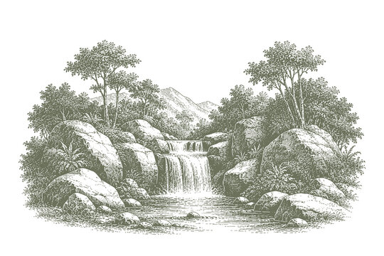 Detailed engraving style vector illustration of a scenic waterfall cascading down rocks into a stream surrounded by dense forest trees.
